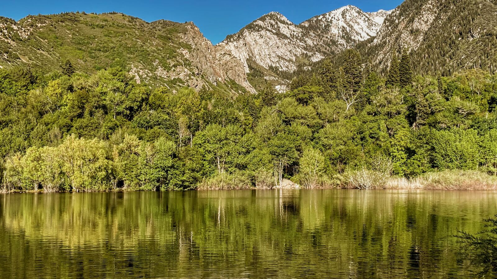 Still lake reflecting forested mountains